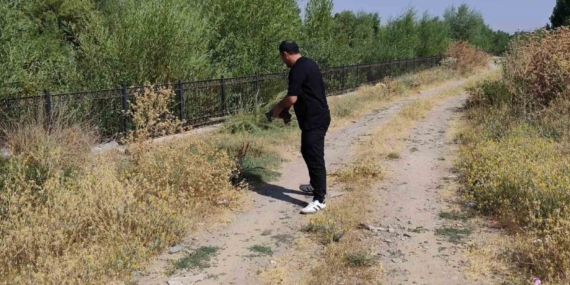 Muş'ta Kaplumbağayı Kurtaran Esnafın Duyarlı Davranışı