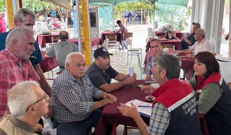 Nazilli'de İncir Üreticilerine Bilgilendirme Toplantısı Düzenlendi