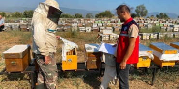 Nazilli'de arılı kovan tespit çalışmaları devam ediyor