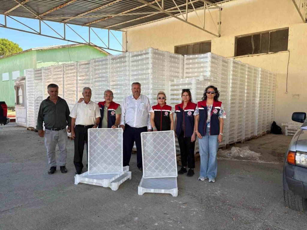 Nazilli'de incir üreticilerine 2 bin 400 kurutma kereveti desteği