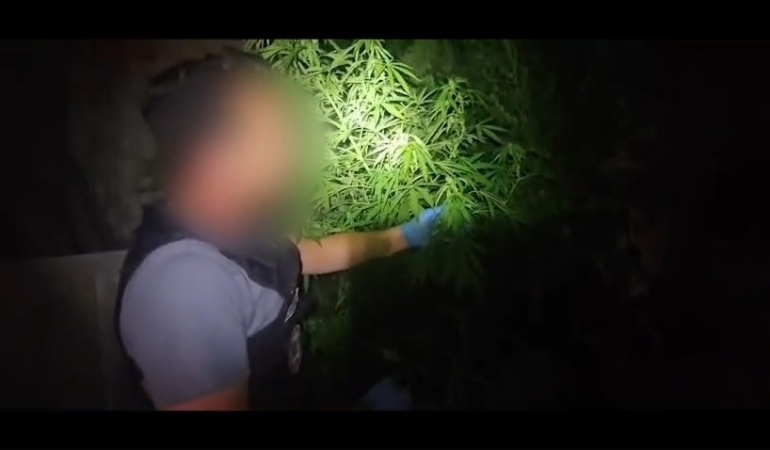 Niğde'de uyuşturucu operasyonunda 1 kişi tutuklandı