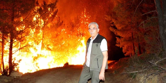 Orman Genel Müdürü Karacabey, Muğla'daki Yangınlarla Mücadelede Ekipleri Destekledi