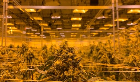 Osmaniye ve Gaziantep'ten uyuşturucu operasyonu: 89 kilo ele geçirildi