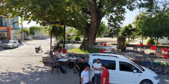Osmaniye'deki 260 yıllık çınar, yaz sıcağında doğal klima sağlıyor