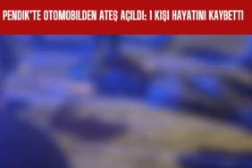 Pendik’te Otomobilden Ateş Açıldı 1 Kişi Hayatını Kaybetti