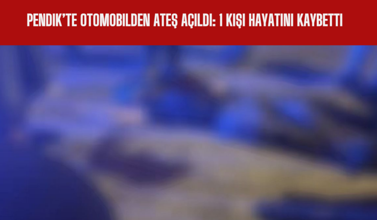 Pendik’te Otomobilden Ateş Açıldı 1 Kişi Hayatını Kaybetti