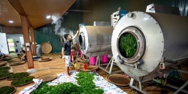 Rize'de çay taşıma işlemi iş makinesiyle yapıldı