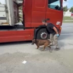 Samsun'da Tırda 7 Kilo Metamfetamin Ele Geçirildi, 2 Gözaltı