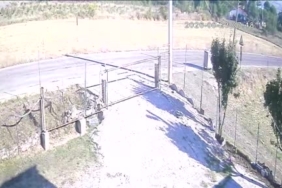 Samsun'da otomobil başıboş köpeğe çarptı, kaza anı kamerada
