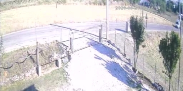 Samsun'da otomobil başıboş köpeğe çarptı, kaza anı kamerada