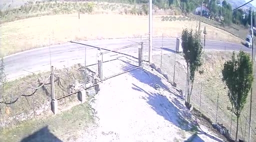Samsun'da otomobil başıboş köpeğe çarptı, kaza anı kamerada