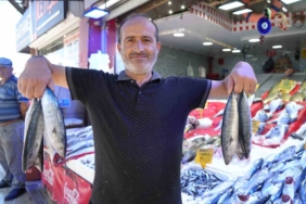 Samsun'da palamut bolluğu, fiyatlar düşmesi bekleniyor