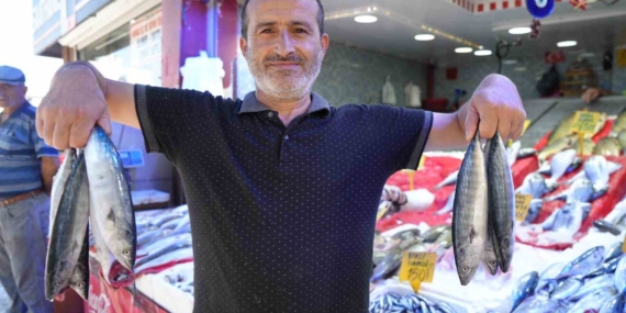 Samsun'da palamut bolluğu, fiyatlar düşmesi bekleniyor