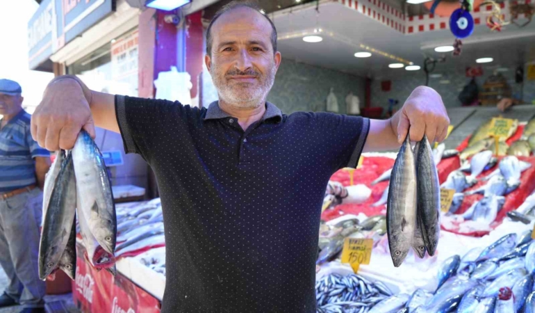 Samsun'da palamut bolluğu, fiyatlar düşmesi bekleniyor