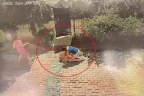 Samsun'da pitbull, küçük kızı yere savurdu ve poodle'ı yaraladı