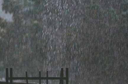 Samsun'da sağanak yağış fındık bahçelerini su altında bıraktı
