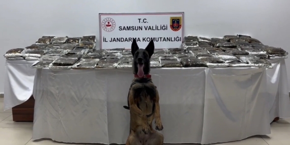 Samsun'da tırda 132 kilo toz esrar ele geçirildi