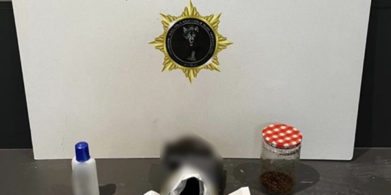 Samsun'da uyuşturucu operasyonunda 15 kişi gözaltına alındı