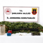 Şanlıurfa'da uyuşturucu operasyonunda bir kişi yakalandı