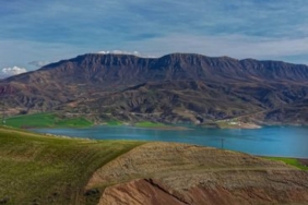 Siirt'te el freni çekilmeyen otomobil yola çıktı