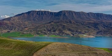 Siirt'te el freni çekilmeyen otomobil yola çıktı