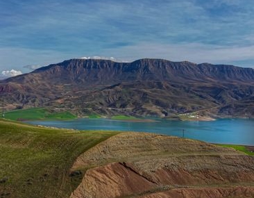 Siirt'te el freni çekilmeyen otomobil yola çıktı