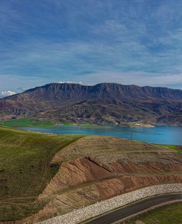 Siirt'te el freni çekilmeyen otomobil yola çıktı