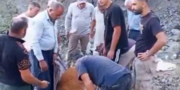 Siirt'te mahsur kalan büyükbaş hayvan telef oldu