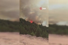Sındırgı'daki orman yangını Kütahya'ya doğru yayılıyor