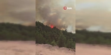 Sındırgı'daki orman yangını Kütahya'ya doğru yayılıyor