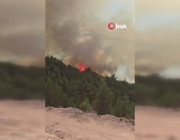 Sındırgı'daki orman yangını Kütahya'ya doğru yayılıyor