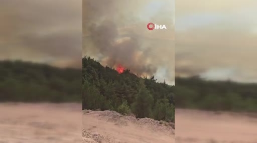 Sındırgı'daki orman yangını Kütahya'ya doğru yayılıyor