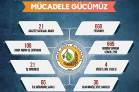 Sinop'ta Orman Yangınlarıyla Mücadele İçin Seferberlik Başlatıldı