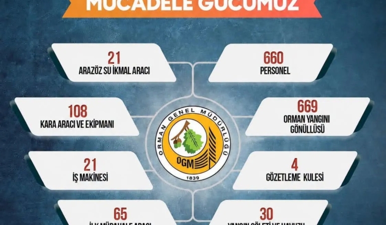 Sinop'ta Orman Yangınlarıyla Mücadele İçin Seferberlik Başlatıldı