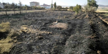 Sivas Altınyayla'da çıkan yangın evlere sıçramadan kontrol altına alındı