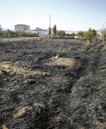 Sivas Altınyayla'da çıkan yangın evlere sıçramadan kontrol altına alındı