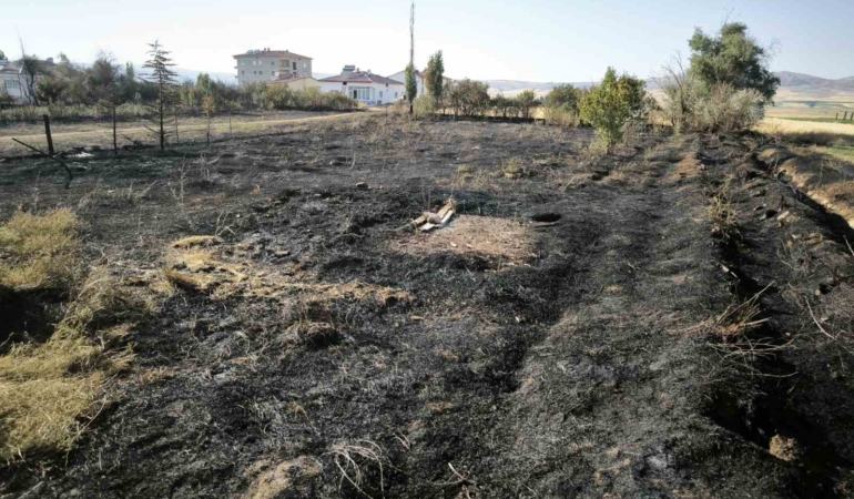 Sivas Altınyayla'da çıkan yangın evlere sıçramadan kontrol altına alındı