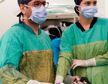 Söke Devlet Hastanesi'nde sağlık çalışanlarına böbrek hastalığı eğitimi