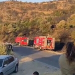 Söke'deki orman yangını kontrol altına alındı