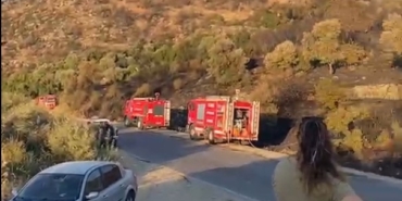 Söke'deki orman yangını kontrol altına alındı