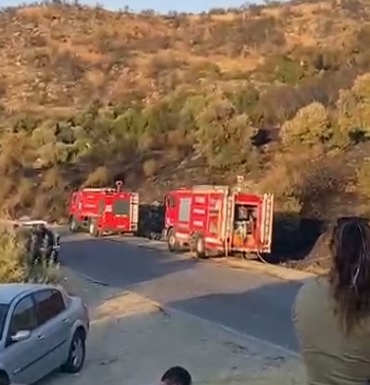Söke'deki orman yangını kontrol altına alındı