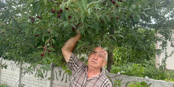 Sultandağı vişnesi yüksek talep ve az stokla değer kazandı