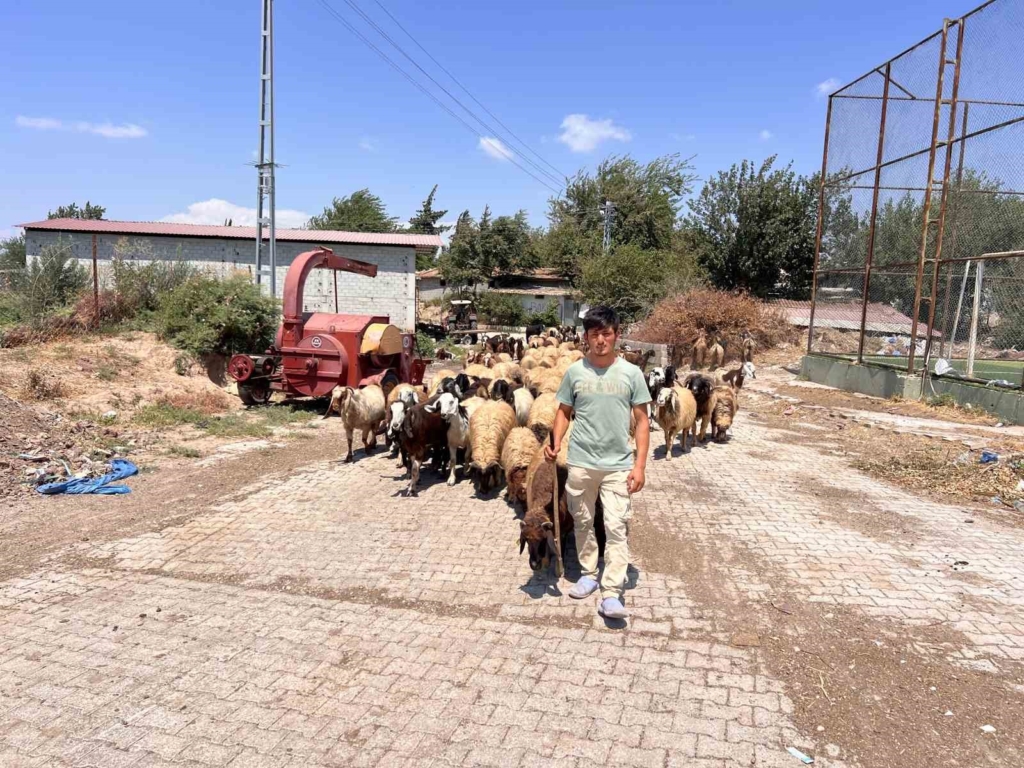 Suriyeli çoban Abdurrahman Elrahim, kendisine sahip çıkan aileye teşekkür etti