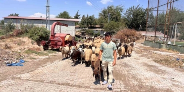 Suriyeli çoban Abdurrahman Elrahim, kendisine sahip çıkan aileye teşekkür etti