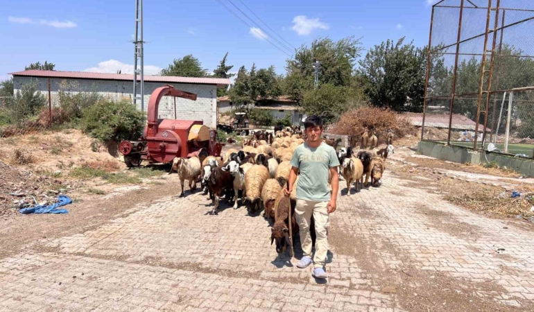 Suriyeli çoban Abdurrahman Elrahim, kendisine sahip çıkan aileye teşekkür etti