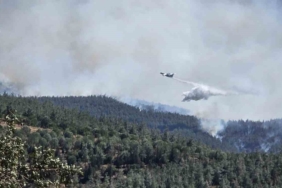 Susurluk'ta orman yangını hızla yayılıyor