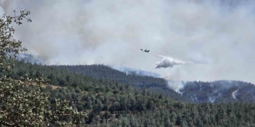 Susurluk'ta orman yangını hızla yayılıyor