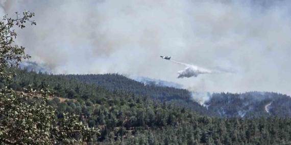 Susurluk'ta orman yangını hızla yayılıyor