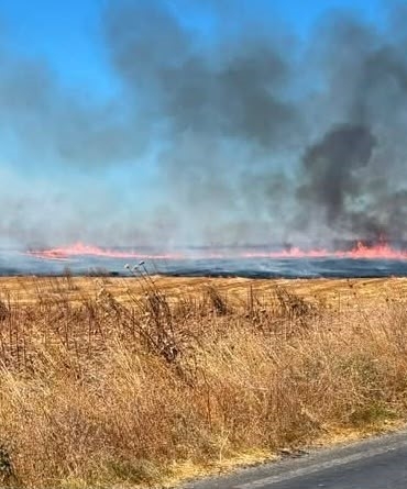 Tekirdağ'da anız yangını 25 dönüm araziyi etkiledi
