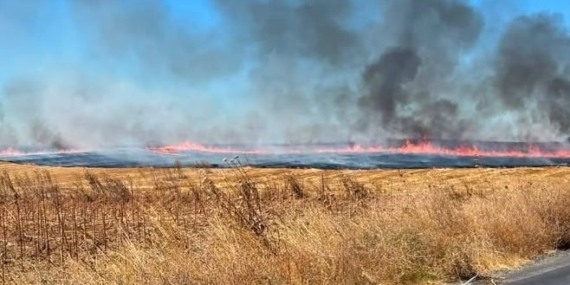 Tekirdağ'da anız yangını 25 dönüm araziyi etkiledi